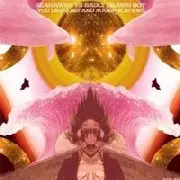 BADLY DRAWN BOY / バッドリー・ドローン・ボーイ商品一覧｜JAZZ