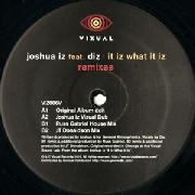 JOSHUA IZ / It Iz What It Iz (Remixes)