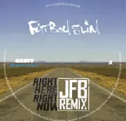 FATBOY SLIM / ファットボーイ・スリム / Right Here, Right Now (JFB RMX) 
