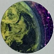 SPACE DIMENSION CONTROLLER / スペース・ディメンション・コントローラー / Temporary Thrillz
