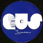 SCB / Loss/Future Unknown