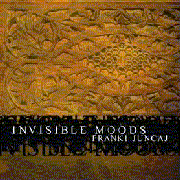 FRANKI JUNCAJ AKA DJ 3000  / Invisible Moods