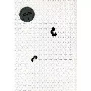 ALVA NOTO / アルヴァ・ノト / Transvision