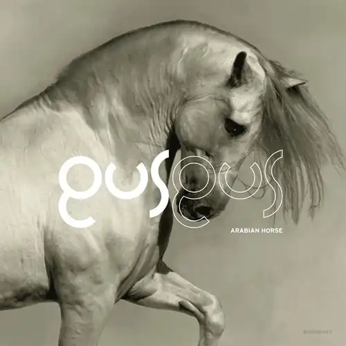 GUS GUS / ARABIAN HORSE 2LP