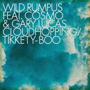 WILD RUMPUS FEAT. COSMO AND GARY LUCAS / Cloudhopping