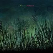 ALMUNIA / アルムニア商品一覧｜ディスクユニオン・オンラインショップ