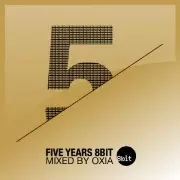 V.A.(FEDERICO LOCCHI & UGLH/DANIEL DUBB/ALEX NIGGEMANN...) / 5 Years 8bit Records