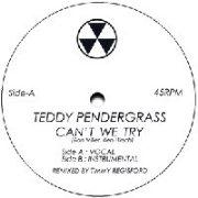 TEDDY PENDERGRASS / テディ・ペンダーグラス / Can't We Try (Timmy Regisford Remix)
