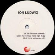 ION LUDWIG / As The Reaction Followed I Knew My Feelings Were Right