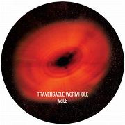 TRAVERSABLE WORMHOLE / Traversable Wormhole Vol.8