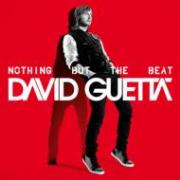 DAVID GUETTA / デヴィッド・ゲッタ / Nothing But The Beat(2CD)