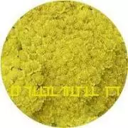 HERB LF & PETKOVSKI / Lullaby For Rastko 