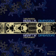 THEO PARRISH / セオ・パリッシュ / Parallel Dimensions (国内仕様盤)