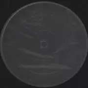 RON HARDY / ロン・ハーディー / Rdy 7