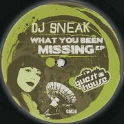DJ SNEAK / DJスニーク / What You Been Missing 