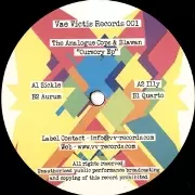 ANALOGUE COPS & BLAWAN / Cursory