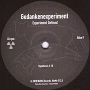 GEDANKENEXPERIMENT  / Experiment Defined 