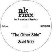 DAVID GRAY/TRACY CHAPMAN  / Other Side / Crossroads NK RMX