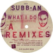 SUBB-AN / What Do I Do Remixes