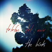 TELEFON TEL AVIV / テレフォン・テル・アビブ / Birds (Ellen Allien/Matthew Dear Remix)