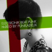 PUNKADELIX / Electronik Beat Punk