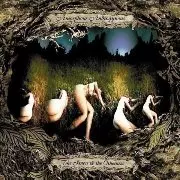 AMORPHOUS ANDROGYNOUS / アモルファス・アンドロジナス / Isness & The Otherness