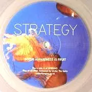 STRATEGY / ストラテジー / Super Awareness Is Fruit