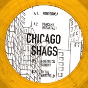 CHICAGO SHAGS / Family Album 