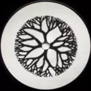 SUN GOD / Being Hieroglyphic