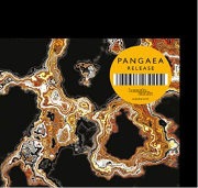 PANGAEA / パンゲア (Hessle Audio) / Release