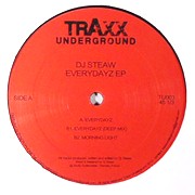 DJ STEAW   / Everydayz EP