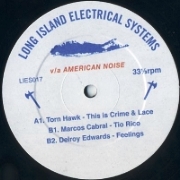 V.A.(L.I.E.S.) / American Noise Sampler