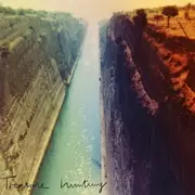 V.A.(TOBY TOBIAS/DEADSTOCK 33'S/RAUDIVE...) / Treasure Hunting