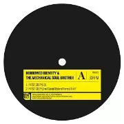 BORROWED IDENTITY & THE MECHANICAL SOUL BROTHER / First Step