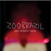 ZOO BRAZIL / Any Minute Now