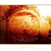APHEX TWIN / エイフェックス・ツイン / Selected Ambient Works Vol.2 (US Reissue)