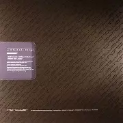 INSTRA:MENTAL & D BRIDGE/MARTYN / Think And Change Plate 5