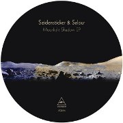 SEINDENSTICKER & SALOUR / Moonlight Shadow