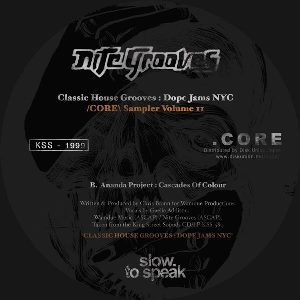 V.A. / Classic House Grooves : Dope Jams NYC Core Sampler Volume 2