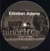 ESTEBAN ADAME   / Brown Dream EP