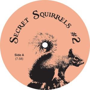 SECRET SQUIRRELS / #2