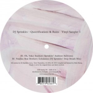 DJ SPRINKLES / DJ スプリンクルズ / Queerifications & Ruins Vinyl Sampler PT.1