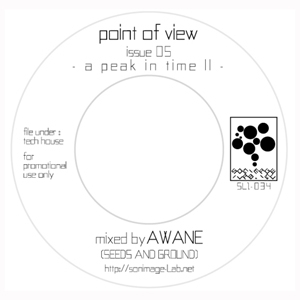 AWANE aka DJ KOROSUKE / point of view : issue 05 - a peak in time II / ポイントオブビユ-:イシユ-05-アピ-クインタイムII