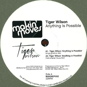 TIGER WILSON / Anything Is Possible 