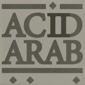 V.A.(VERSATILE) / Acid Arab Collections / EP02 