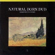 HIROSHI FUJIWARA / 藤原ヒロシ / Natural Born Dub