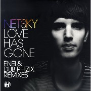 NETSKY / ネットスカイ / Love Has Gone Remixes