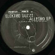 ELEKTRO GUZZI / エレクトロ・グッツィー / Allegro EP 