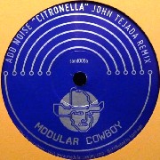 ADD NOISE / Citronella (John Tejada Remix)/ Re-Enter (John Tejada Edit)