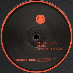 STRAY (DRUM & BASS) / Ginseng Smash/Akina